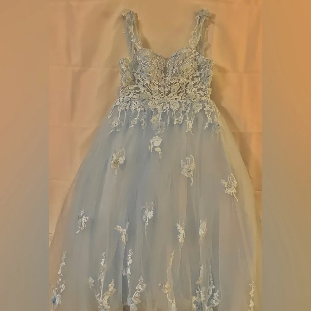 Cinderella Themed Size 14 Prom and Special Occasion Dress - Picture 5 of 7